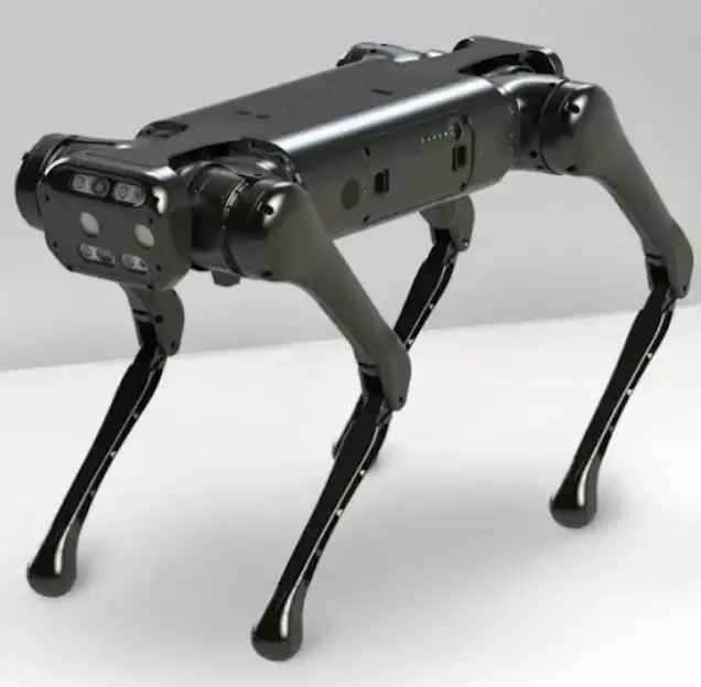 روبوت بارابوت