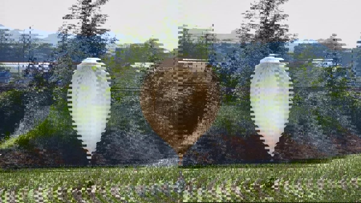 سول: "بالونات الشمالية" تحوي طفيليات "براز بشري"