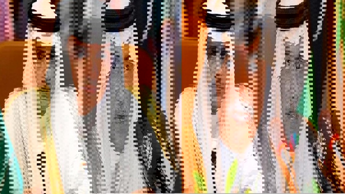 ما الذي يعنيه دور عادل الجبير الجديد إلى جانب العساف في الخارجية السعودية؟‎