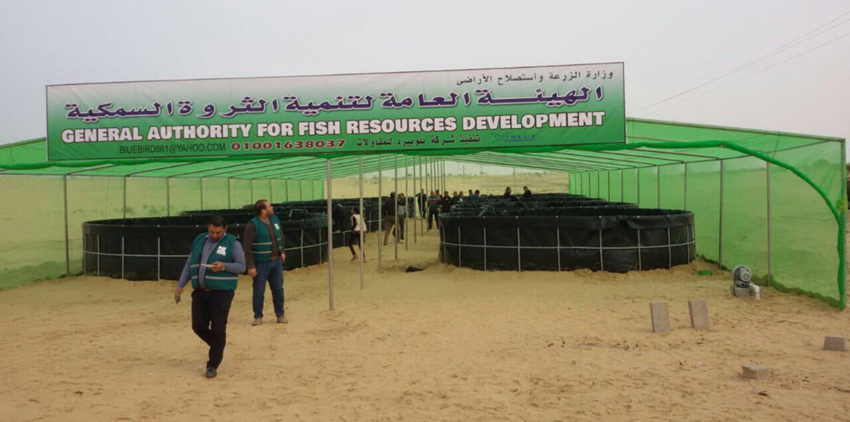 بعد هجوم داعش على مسجدها.. مصر تطلق أول مشروع تنموي في الروضة (صور)