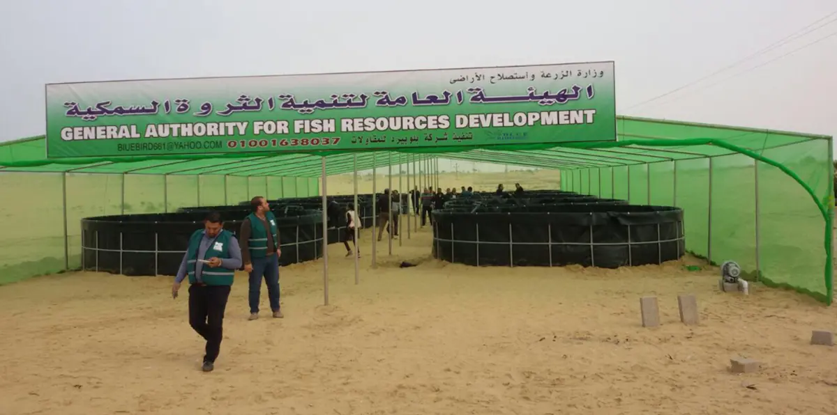 بعد هجوم داعش على مسجدها.. مصر تطلق أول مشروع تنموي في الروضة (صور)