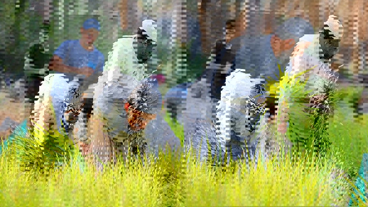 آلاف الفلاحين السعوديين يحصلون على إعانات مالية ضمن برنامج حكومي لدعم الزراعة