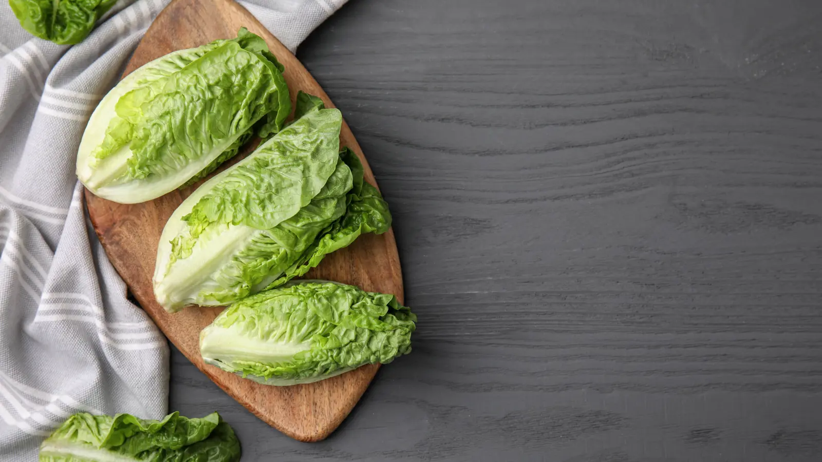 الخس على السحور.. درع وقاية من الجفاف خلال الصيام