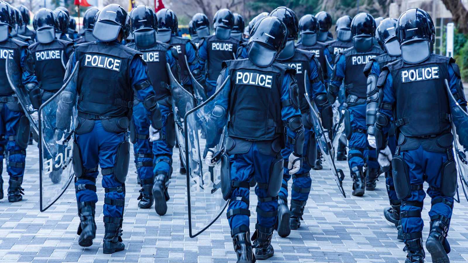 الشرطة اليابانية تسمح باستخدام الأسلحة النارية لمواجهة الدببة