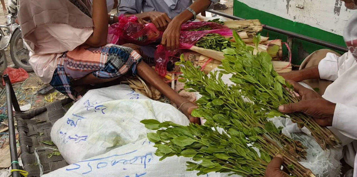 قيادي حوثي يقتل شابًا يمنيًا بسبب "القات"