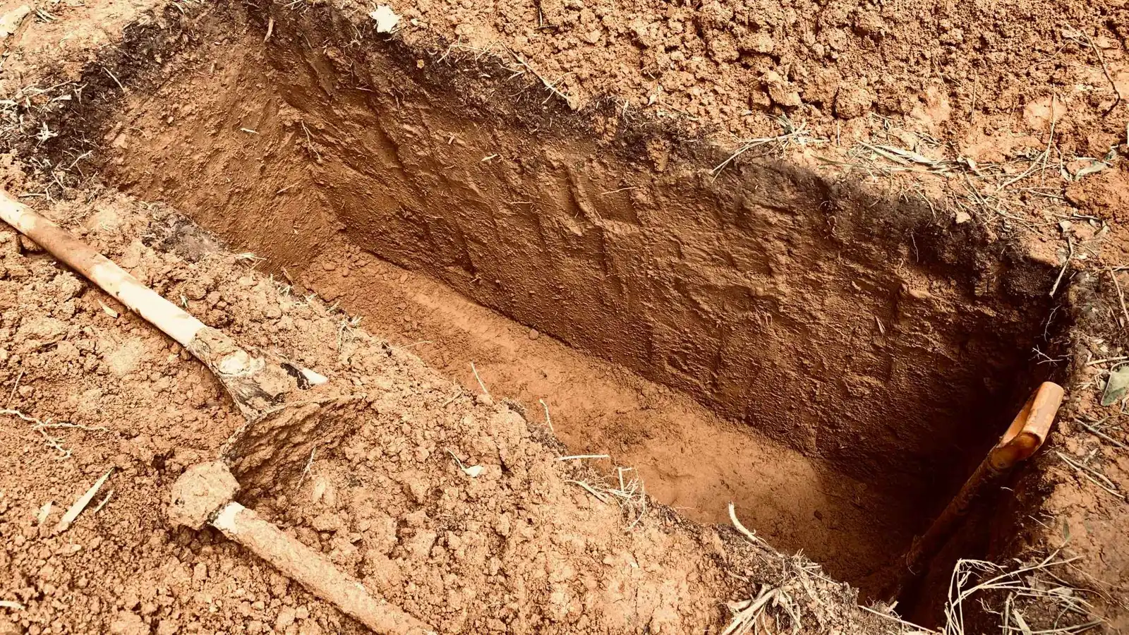 أب يجبر مُغتصب ابنته على حفر قبره بيديه