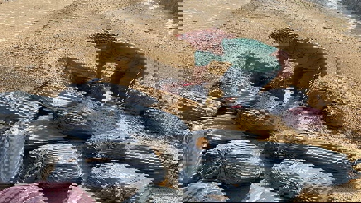 خبؤوا الخمور في حفرة.. شرطة دبي تضبط 7 متورطين في الاتجار بالمشروبات الكحولية