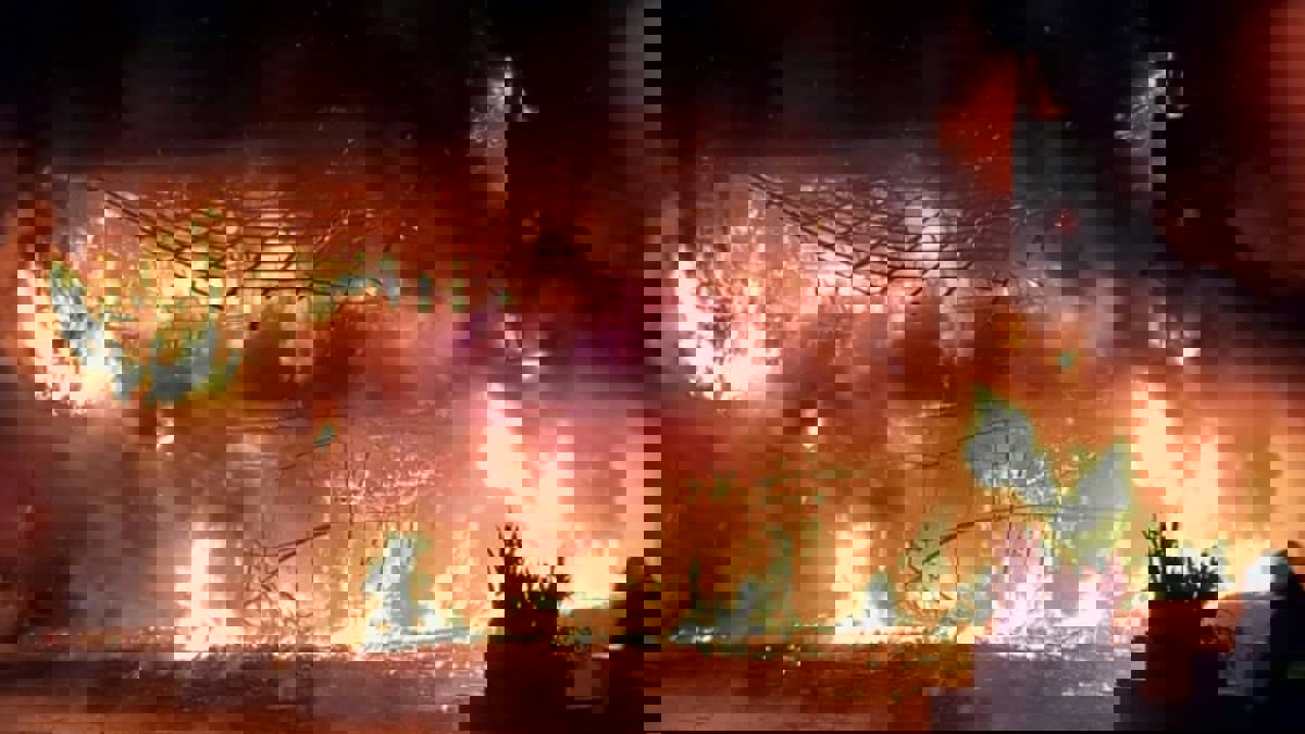 الغيرة القاتلة.. امرأة تتسبب بوفاة 46 شخصًا لشكها بصديقها