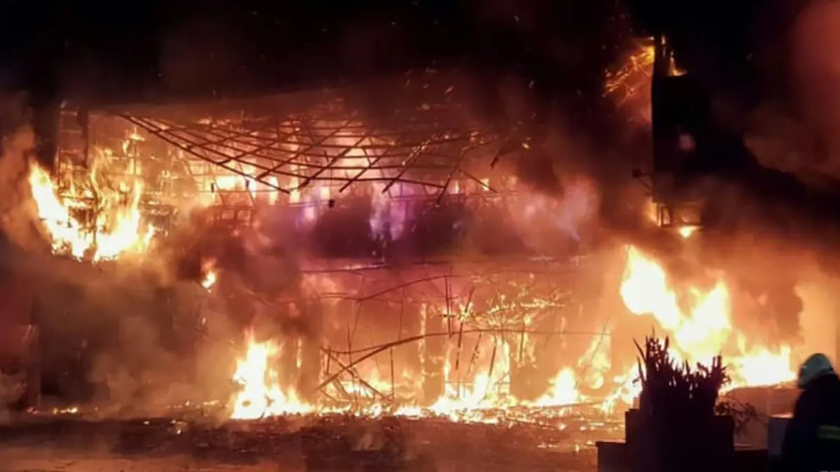 الغيرة القاتلة.. امرأة تتسبب بوفاة 46 شخصًا لشكها بصديقها