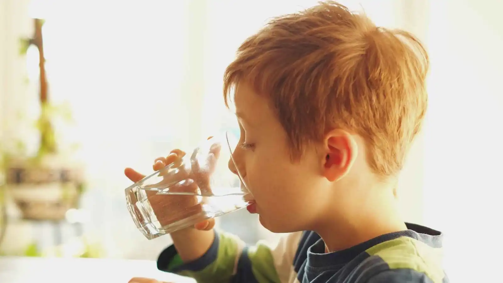 دراسة تحسم الجدل.. لا تأثير للفلورايد على ذكاء الأطفال