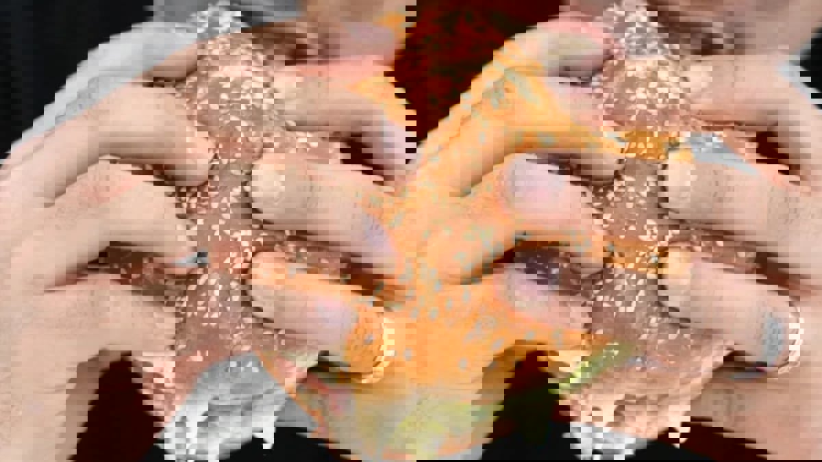  دراسة: مركز التحكم بالشهية يختلف لدى أصحاب الوزن الزائد