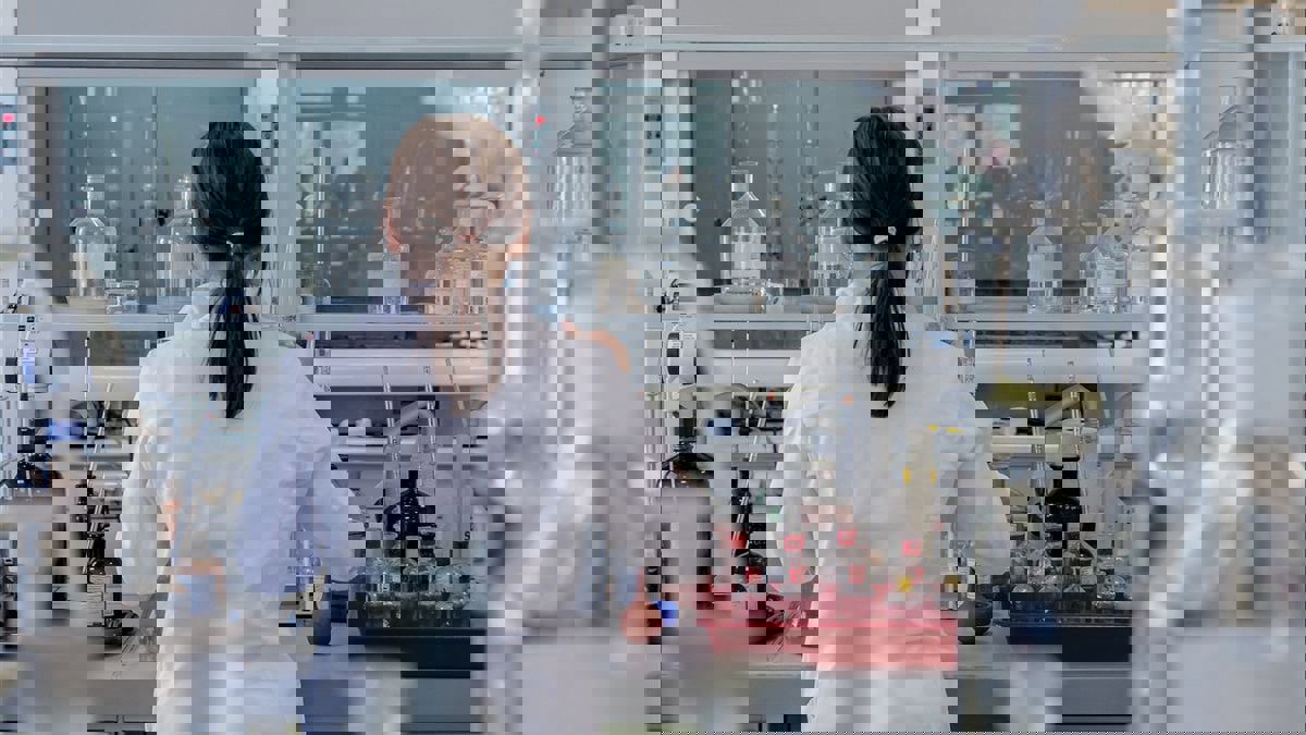 باحثون يصممون "مدينة بكتيريا" تنتج الكهرباء