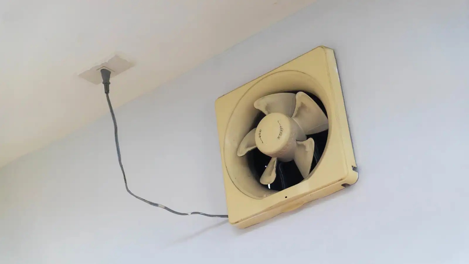 لص يعلق في فتحة المروحة بعد محاولة سرقة فاشلة (فيديو)