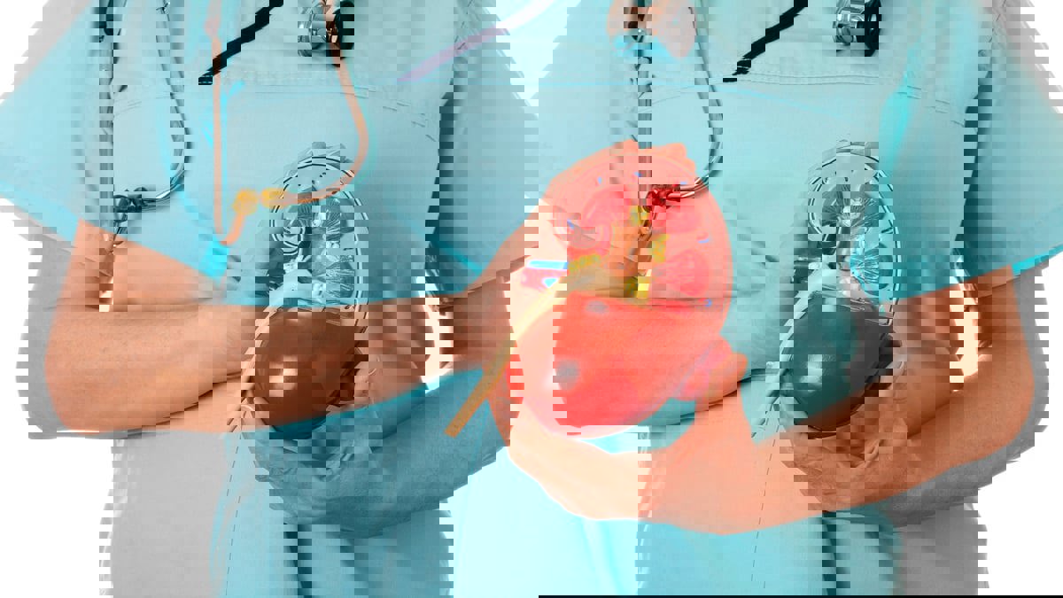 بحث جديد يطور دواء محتملا لمنع الفشل الكلوي