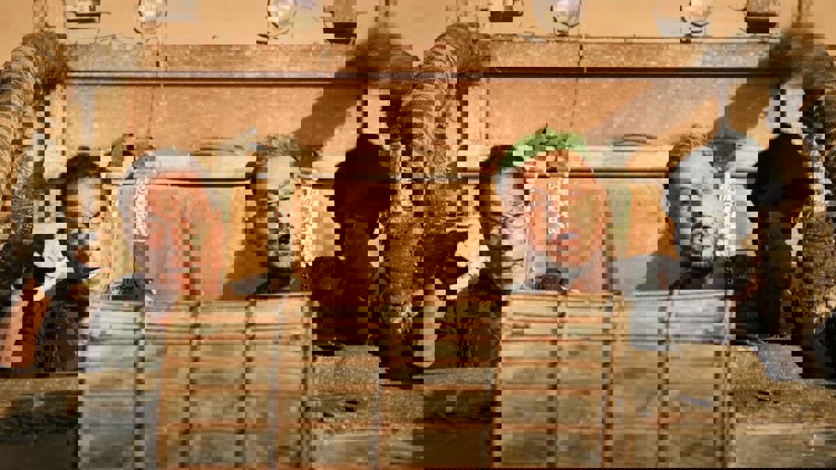 فان دام يثير جدلًا واسعًا بعد حذف صوره مع رامز جلال من مواقع التواصل