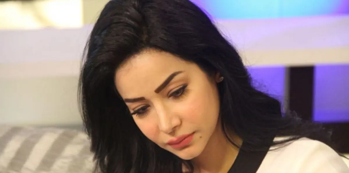 الإعلامية السعودية لجين عمران : محادثتي مع مذيعة الجزيرة خديجة بن قنة "مفبركة"