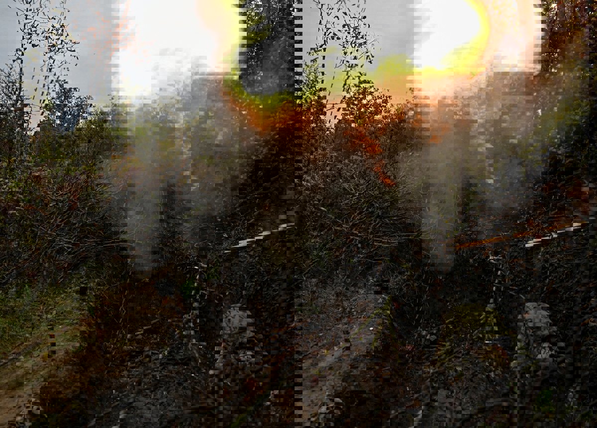 أوكرانيا تعلن إسقاط 27 مسيرة روسية 