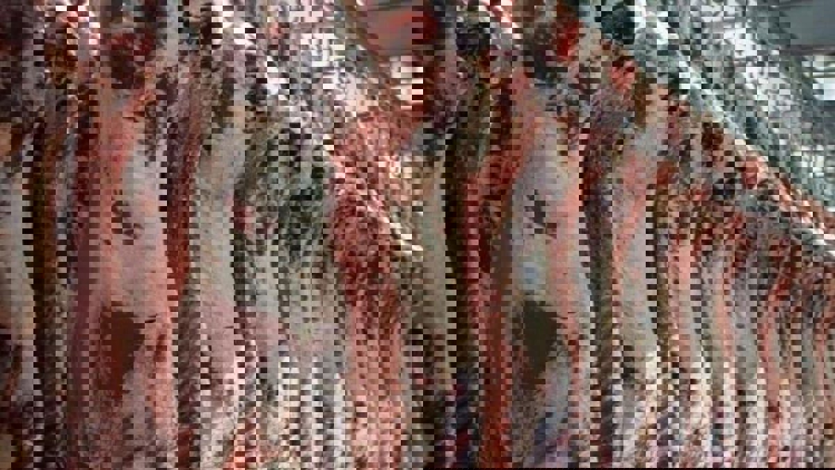 صحيفة: السعودية تحظر بعض واردات اللحوم من البرازيل بعد اكتشاف إصابتين بجنون البقر