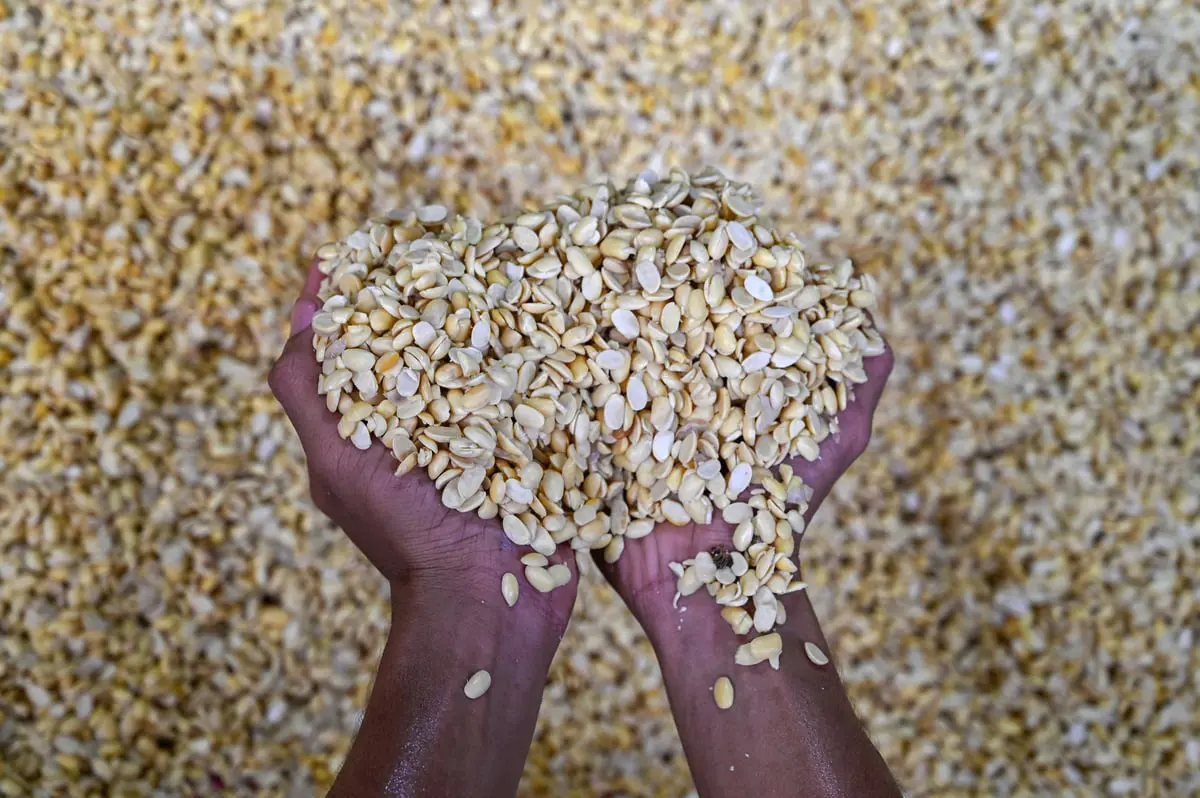 يوجد في هذه الأطعمة.. قلبك ودماغك يحتاجان لتناول "الكولين"