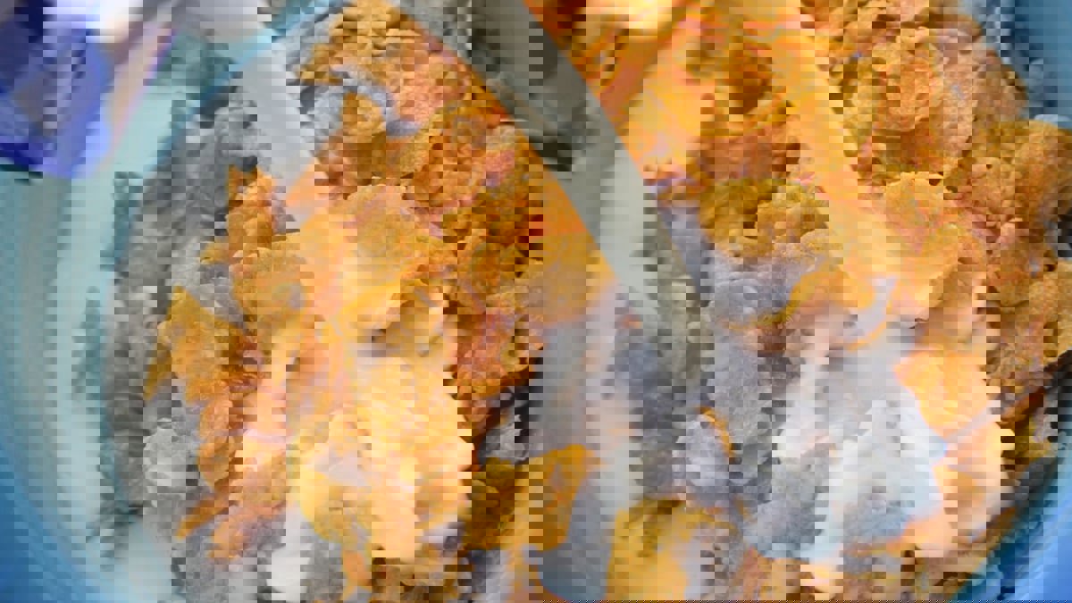 ماذا يحدث لجسمك عند تناول حبوب الإفطار يوميًّا؟