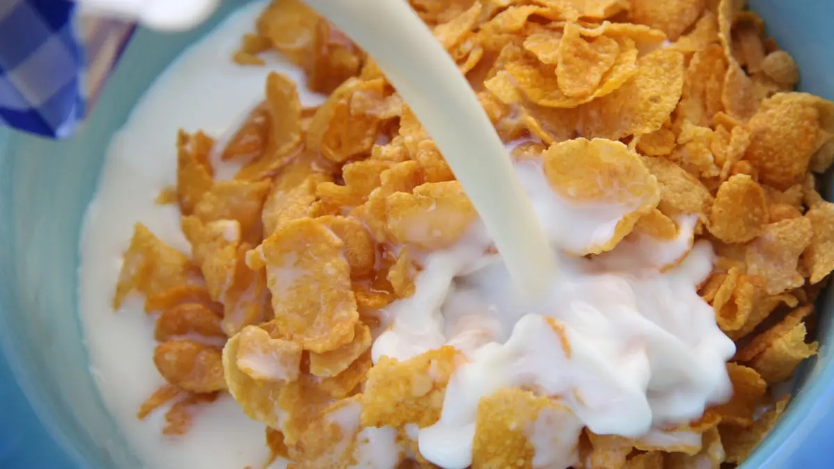 ماذا يحدث لجسمك عند تناول حبوب الإفطار يوميًّا؟