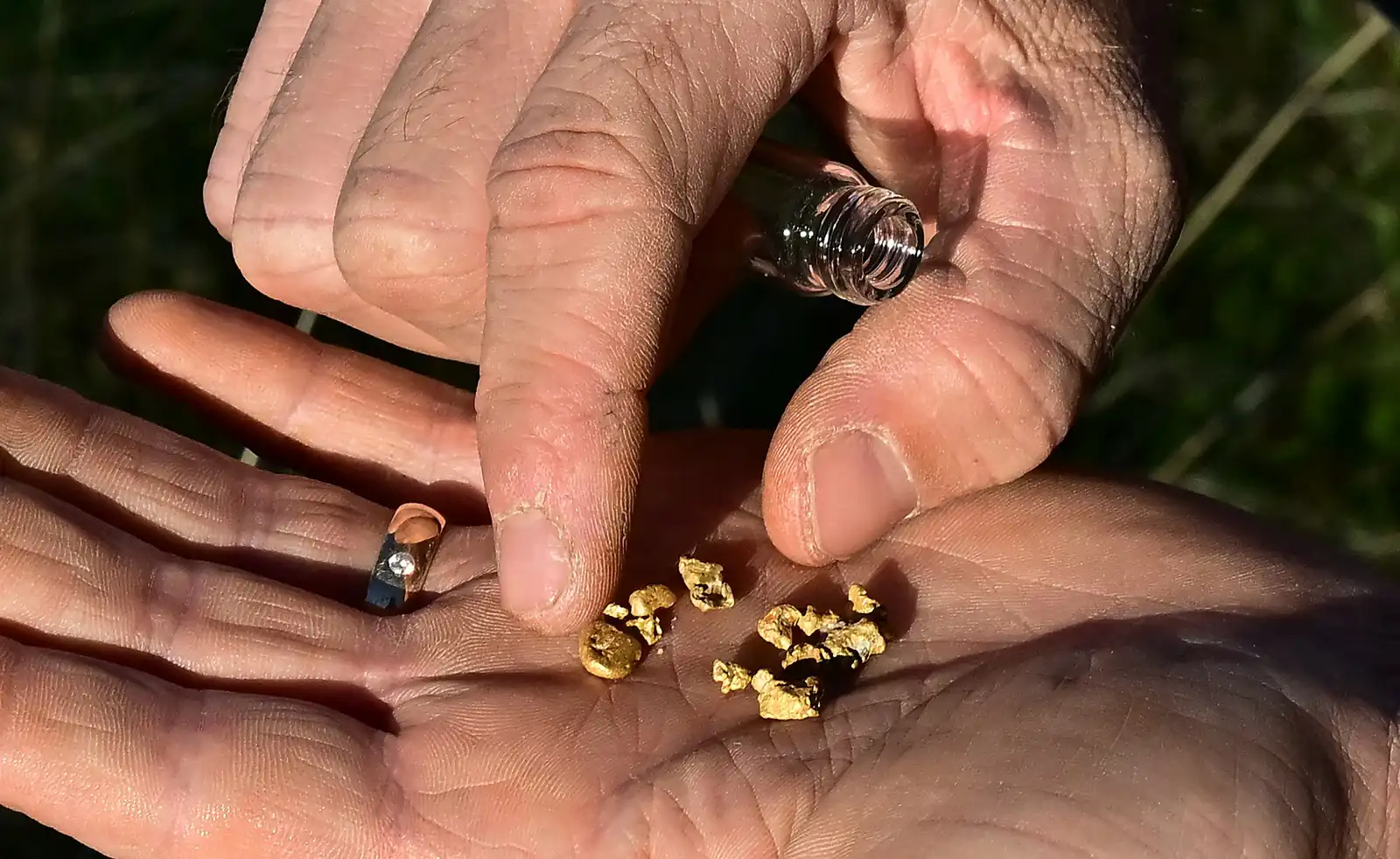 يعرض كودي بلانشارد بعض الذهب الذي وجده