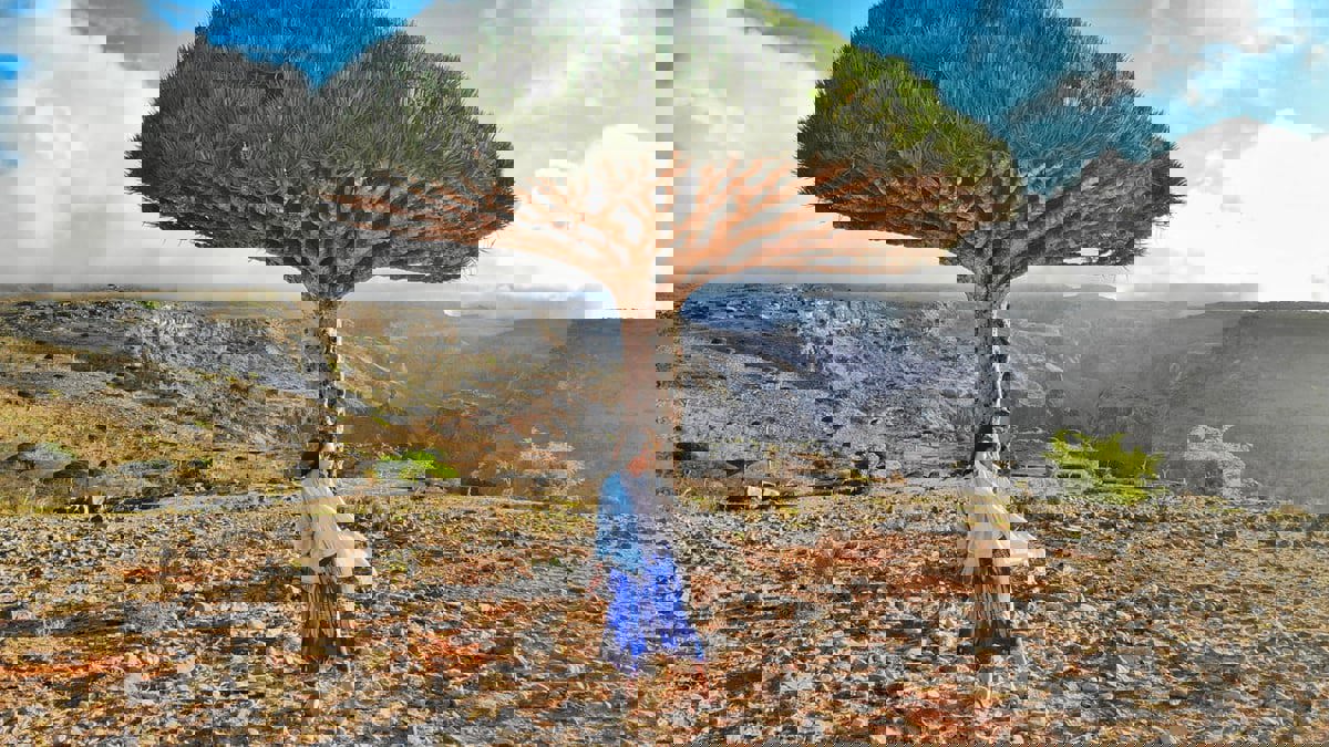 أماكن معزولة لمحبي الهدوء والاسترخاء (صور)