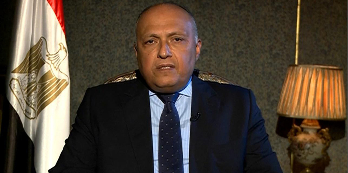 سامح شكري: هذا موقفنا بشأن إرسال قوات برية إلى اليمن (فيديو)