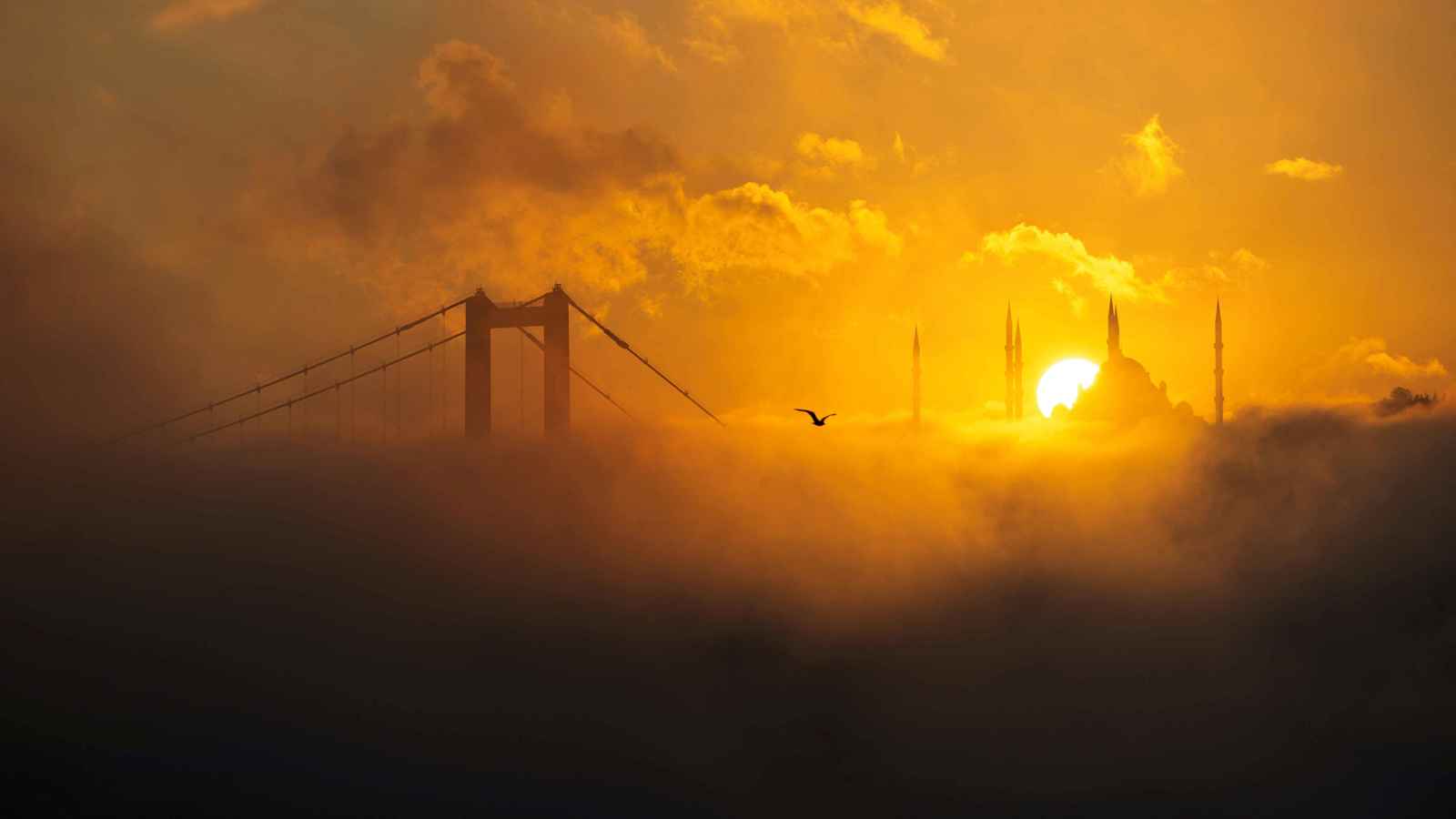 تركيا.. الضباب يعلّق حركة السفن في مضيق البوسفور