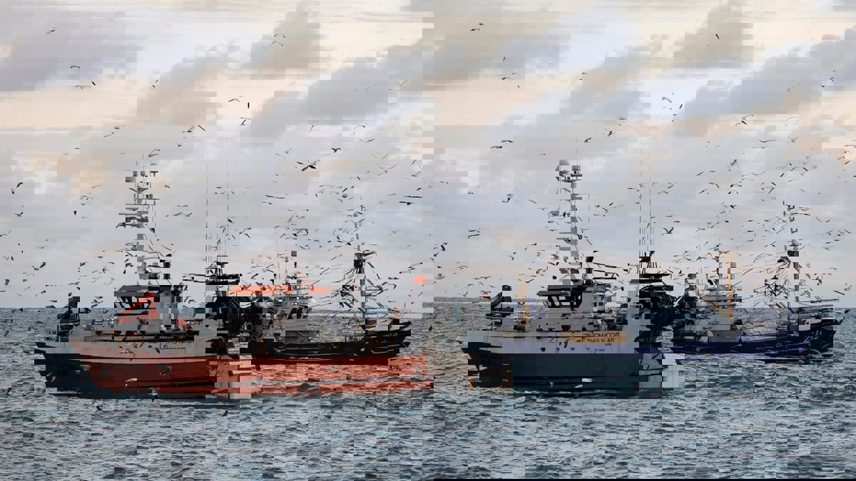 مع احتدام الخلاف على التراخيص.. فرنسا تحتجز سفينة صيد بريطانية