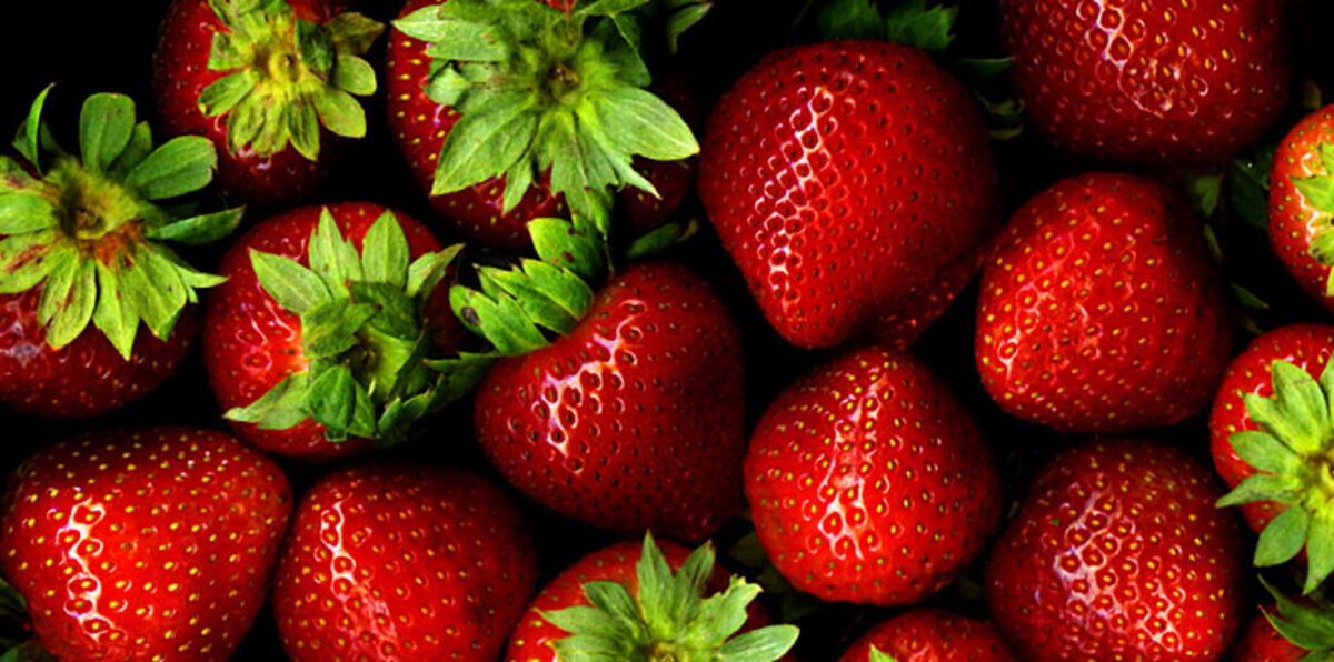 7 أطعمة لا تسبب أي زيادة للوزن.. تعرّف عليها