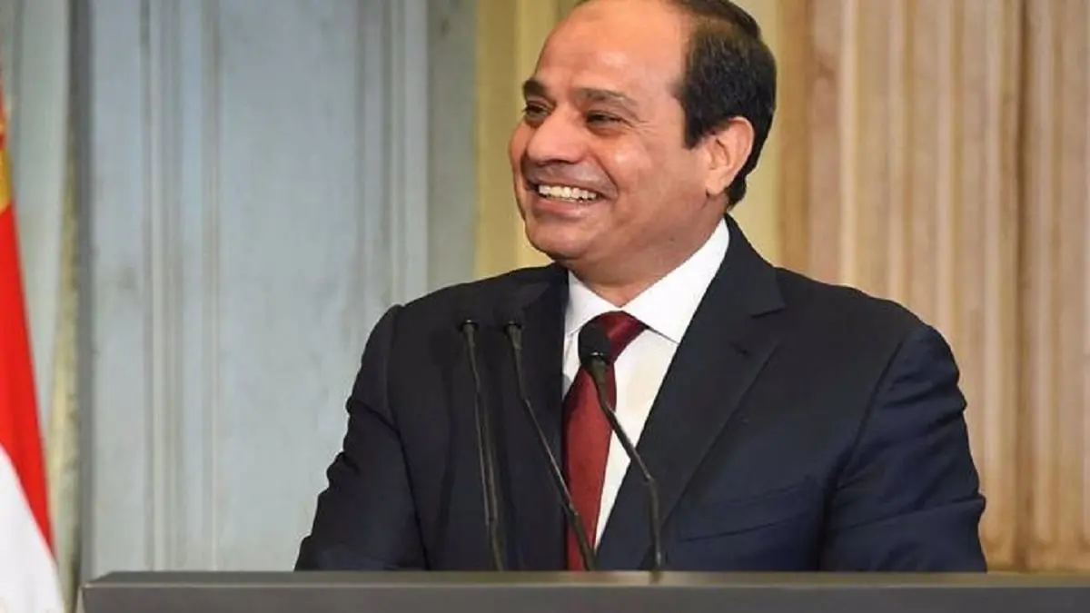 تقرير: اختيار نواب أتراك من منتقدي السيسي أعضاء بلجنة الصداقة مع مصر