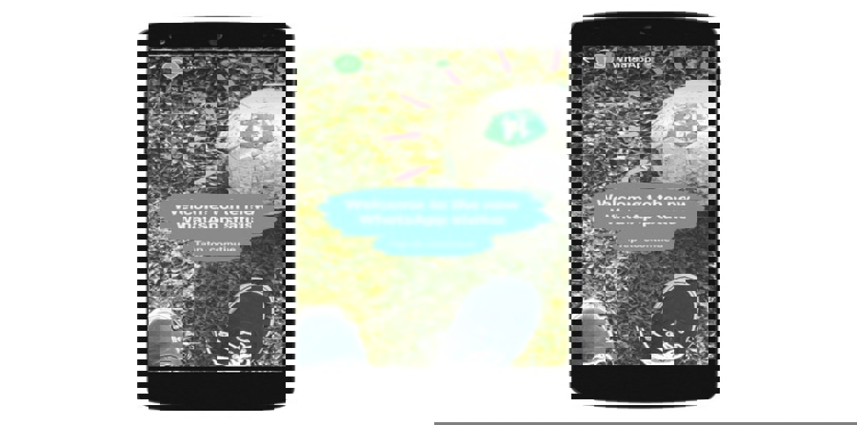 ما هي ميزة "Status" الجديدة على واتس آب؟