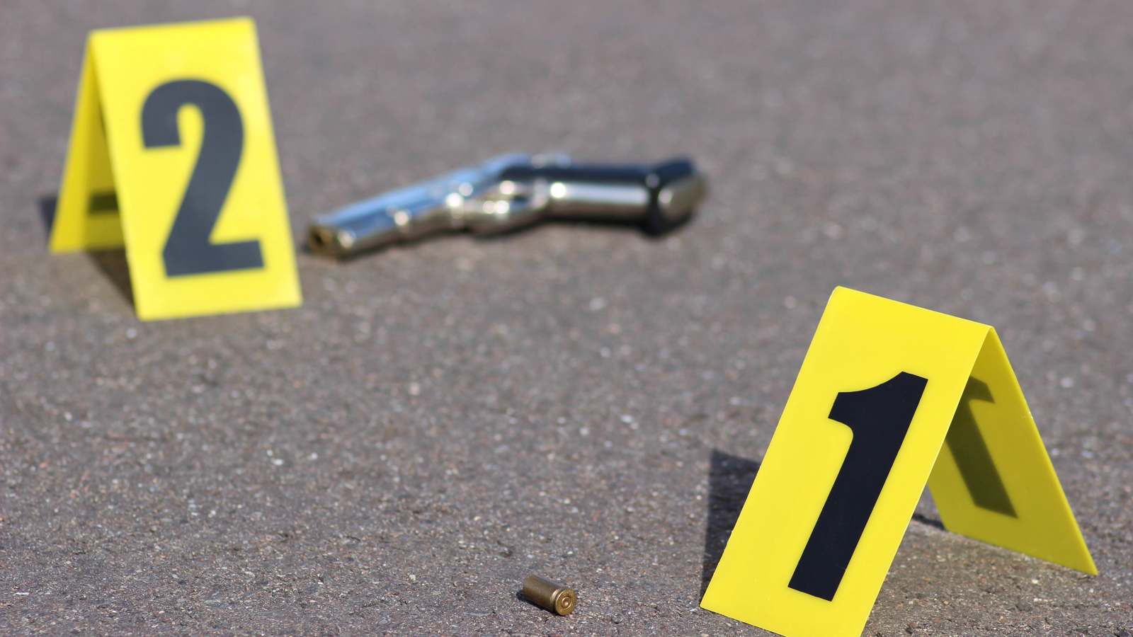 مصر.. مصرع سيدتين بأعيرة نارية بالخطأ