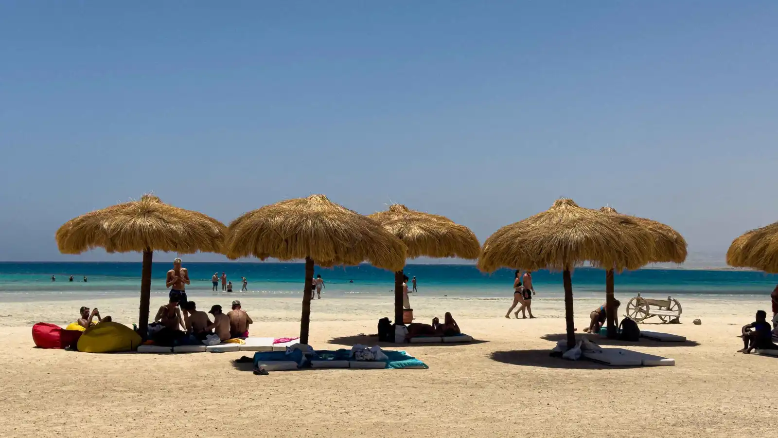 مخاوف بيئية تحيط بمحمية شاطئ حنكوراب الفيروزي بمصر