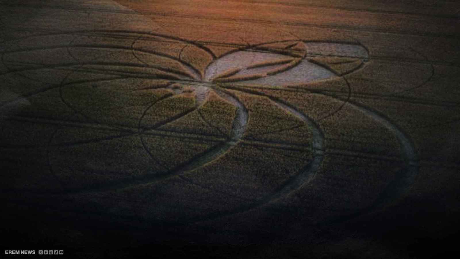 فضائيون أم مخربون؟.. حقل إنجليزي يستيقظ على لغز محيّر