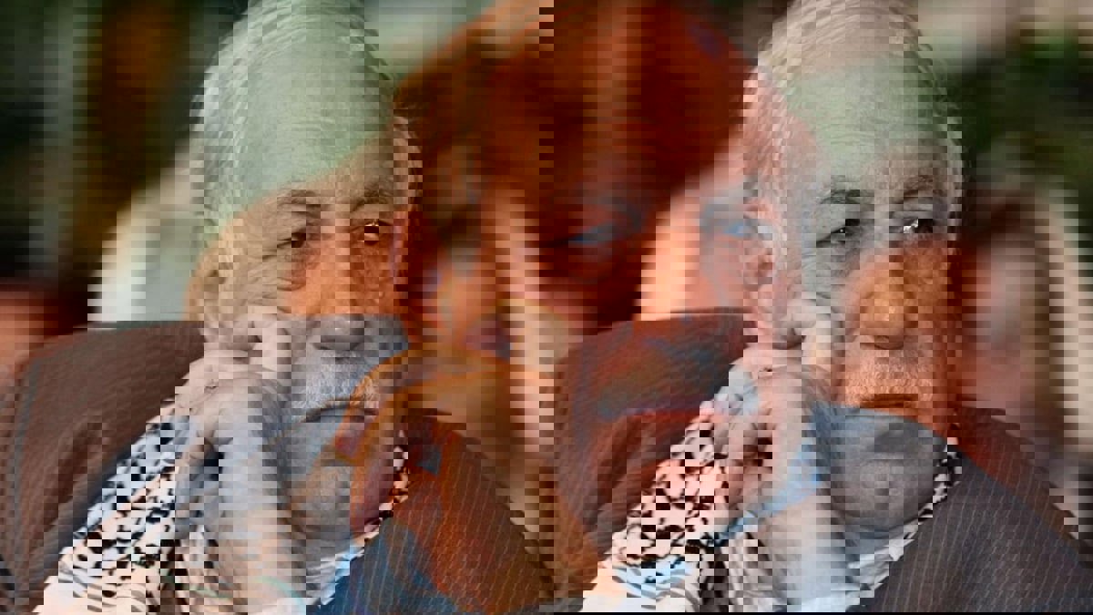 تشييع جثمان القيادي الفلسطيني أحمد جبريل في دمشق‎‎