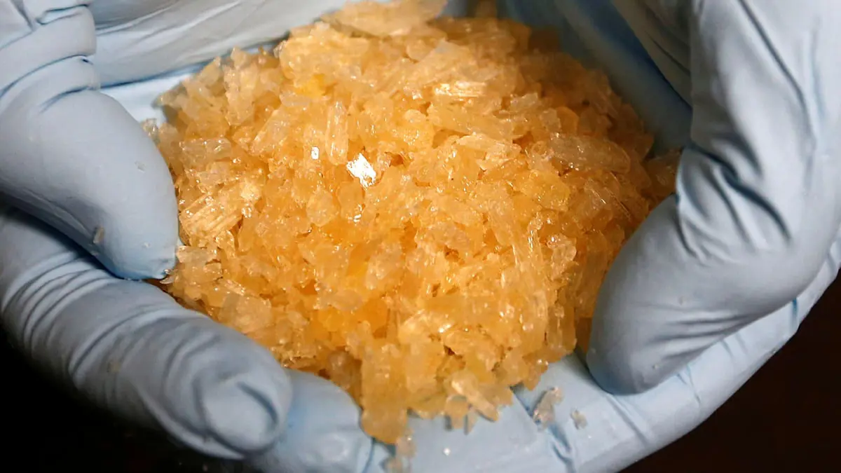 شرطة الشارقة تصادر كميات من المواد المخدرة وتلقي القبض على "مروجيها"