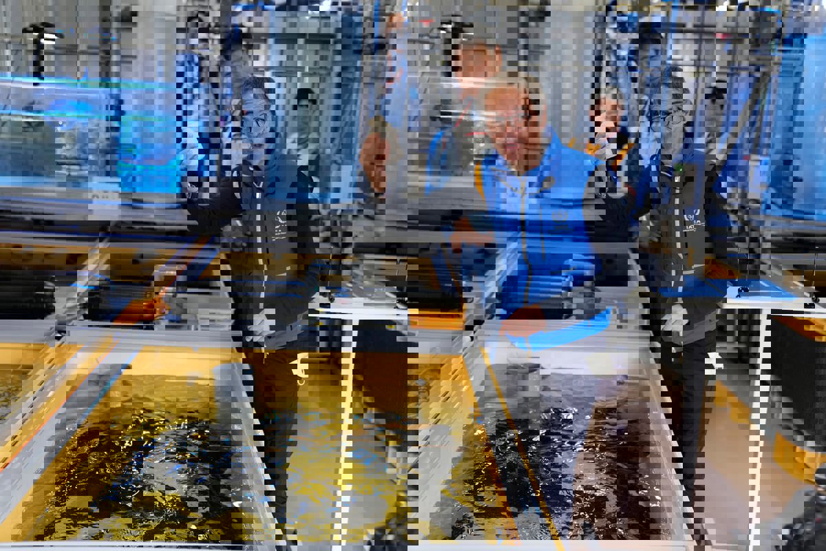 غروسي في سول لتهدئة المخاوف حول مياه محطة فوكوشيما
