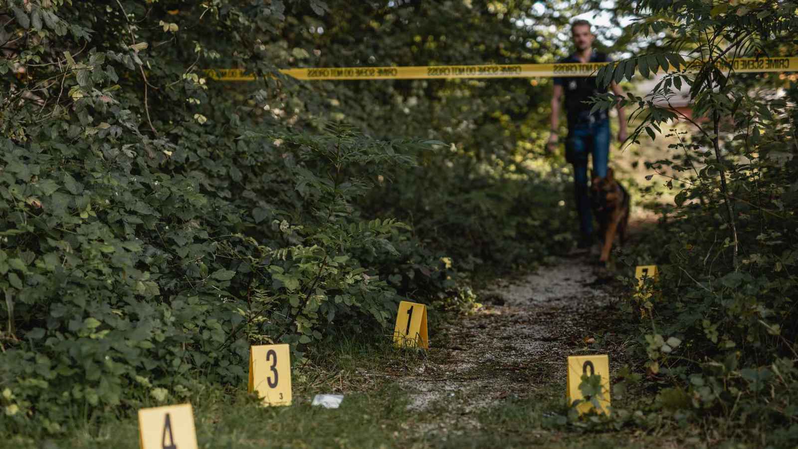 جريمة تهز ألمانيا.. العثور على جثة زوجة مصرية مختفية منذ 7 أشهر