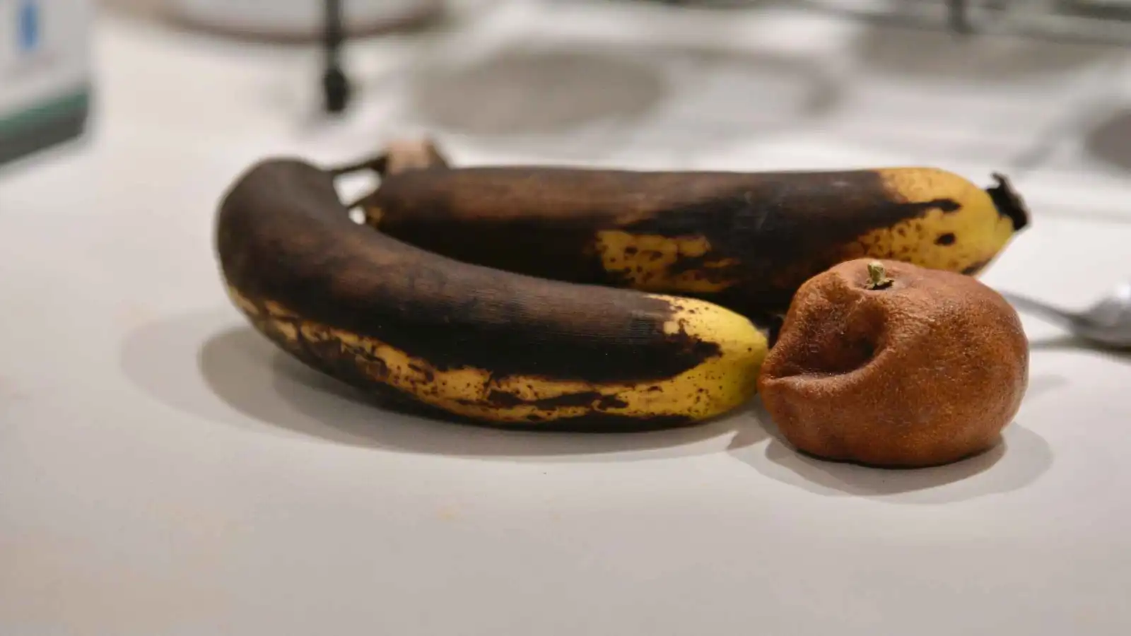 الأطعمة المتعفنة قد تسبب سرطان الكبد