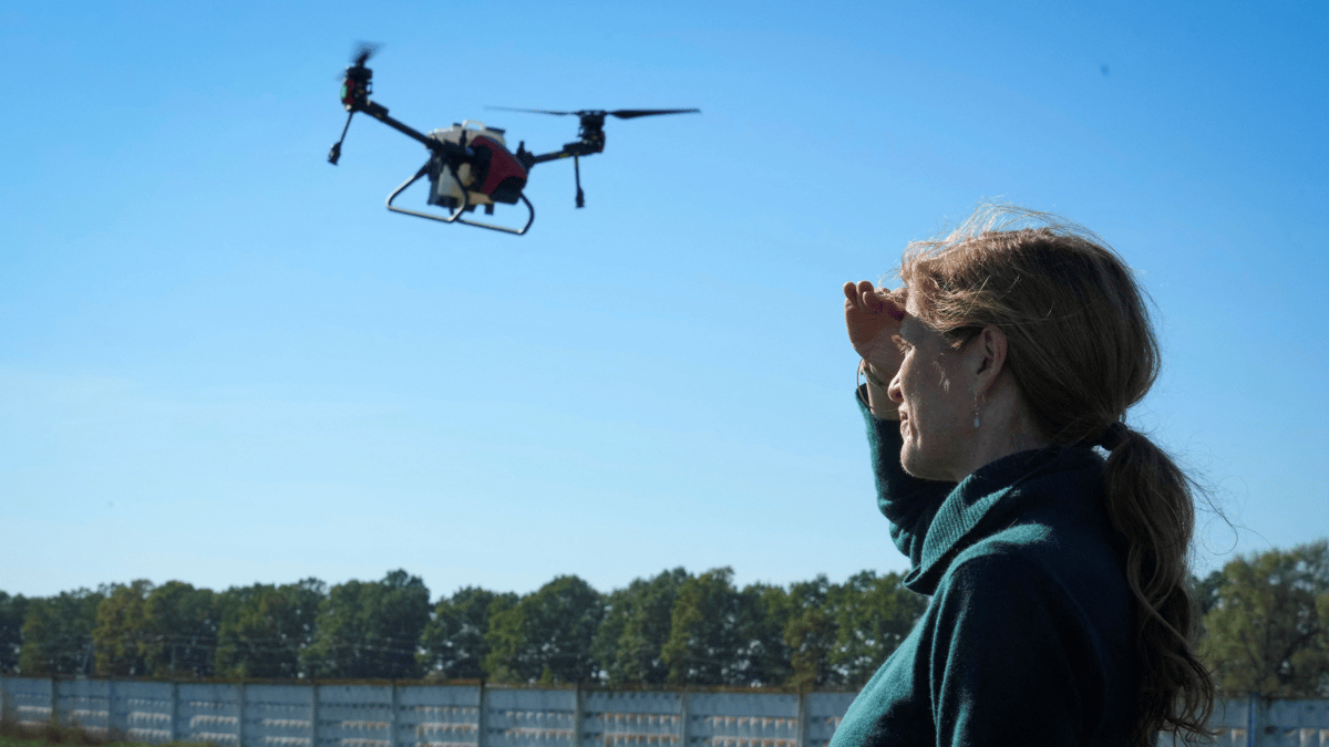 لوموند: أرامل الحرب الأوكرانيات يواجهن عزلة وتحديات اجتماعية