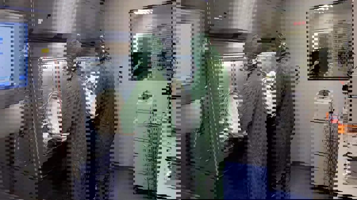 العلاج بـ"الخلايا التائية" يظهر نتائج واعدة لسرطانات المعدة