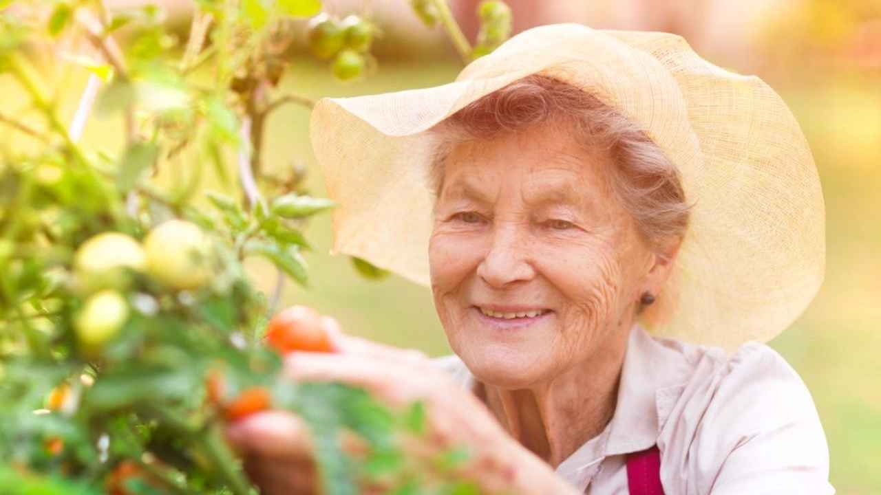 كيف يحافظ كبار السن على نشاطهم واستقلاليتهم بعد السبعين؟