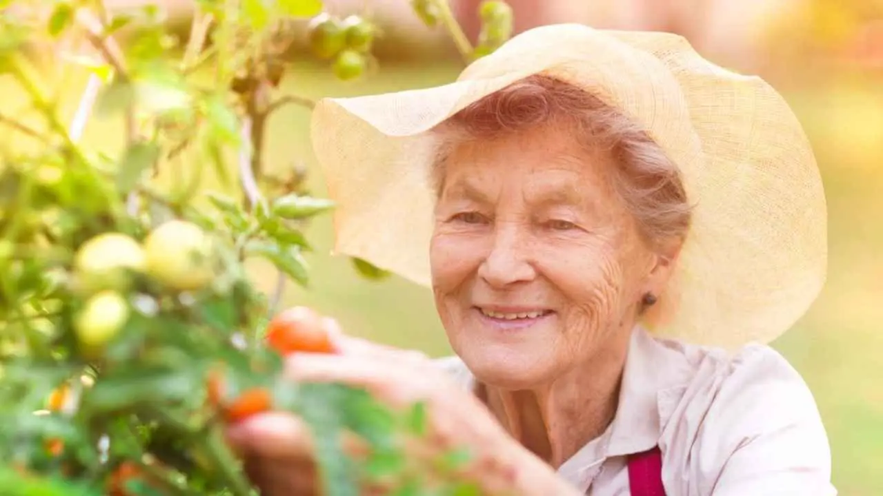 كيف يحافظ كبار السن على نشاطهم واستقلاليتهم بعد السبعين؟