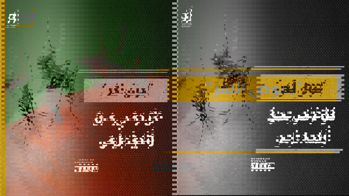 "بعوض النمر".. قلق فرنسي يسبق أولمبياد باريس 