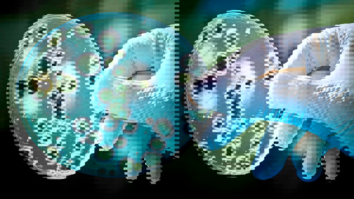 اختبار جديد يرصد البكتيريا المقاومة للمضادات الحيوية في دقائق‎