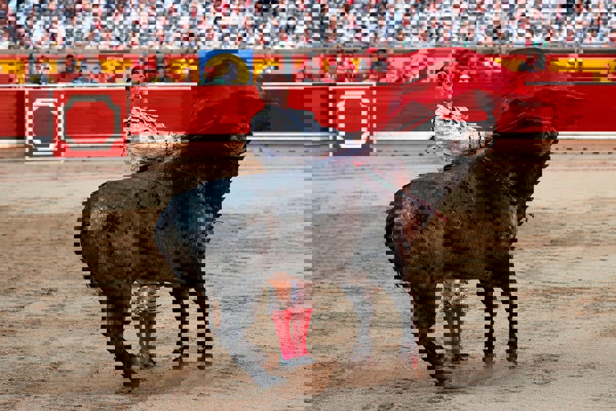 إسبانيا تلغي الجائزة الوطنية لمصارعة الثيران