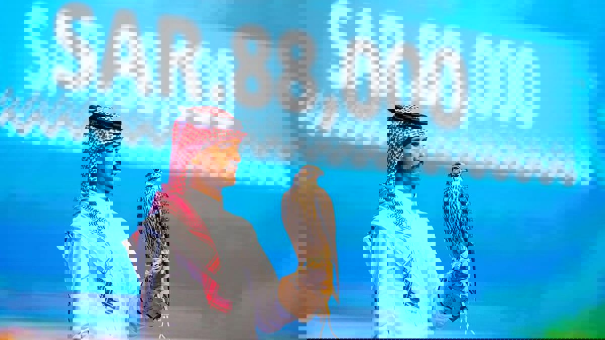 السعودية.. بيع فرخ شاهين بمبلغ 23 ألف دولار