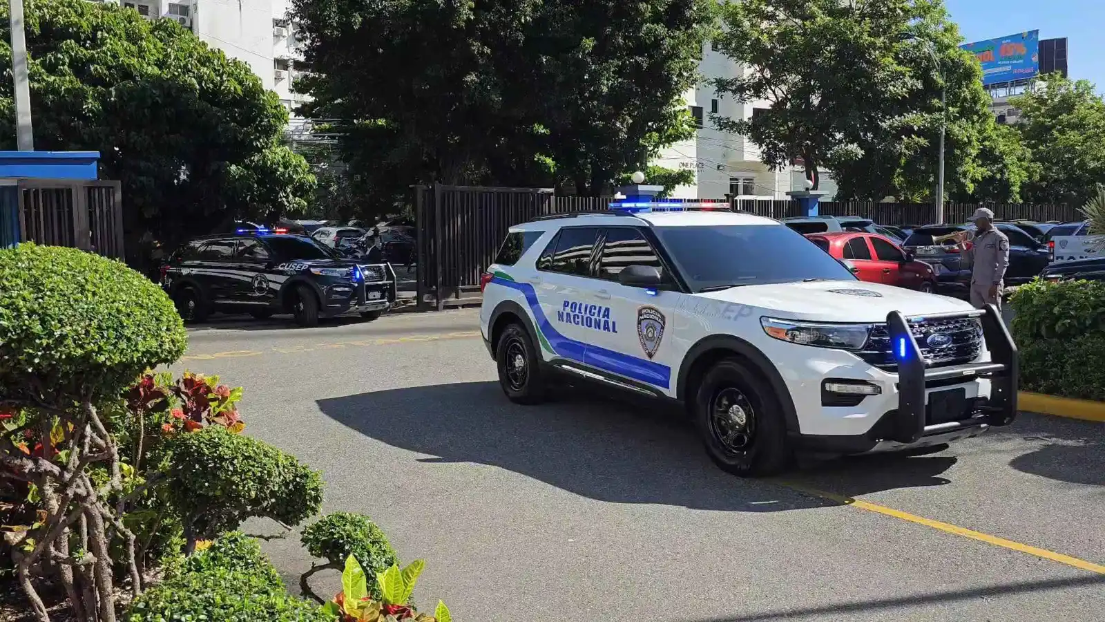 الدومينيكان.. مقتل 4 أطفال في جرائم عائلية